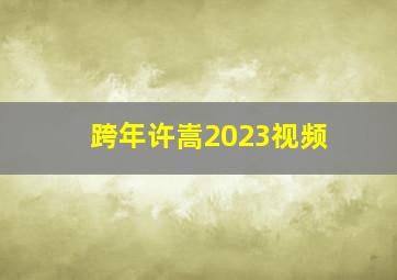 跨年许嵩2023视频