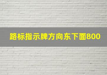 路标指示牌方向东下面800