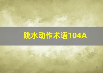 跳水动作术语104A