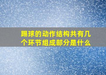 踢球的动作结构共有几个环节组成部分是什么