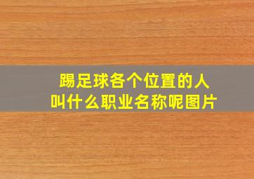 踢足球各个位置的人叫什么职业名称呢图片