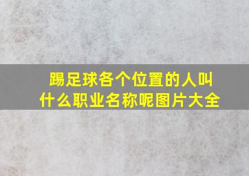 踢足球各个位置的人叫什么职业名称呢图片大全