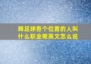 踢足球各个位置的人叫什么职业呢英文怎么说