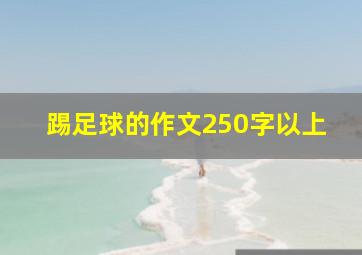 踢足球的作文250字以上