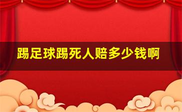 踢足球踢死人赔多少钱啊