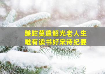 蹉跎莫遣韶光老人生唯有读书好宋诗纪要