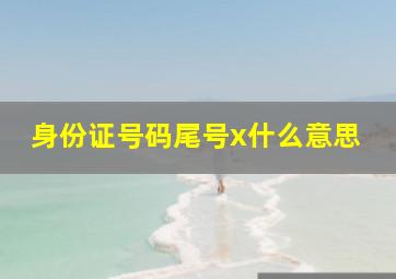 身份证号码尾号x什么意思