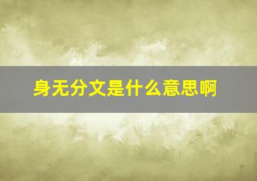 身无分文是什么意思啊