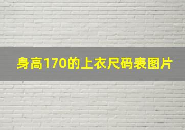 身高170的上衣尺码表图片