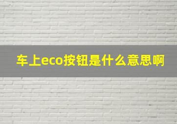 车上eco按钮是什么意思啊