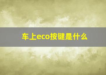 车上eco按键是什么