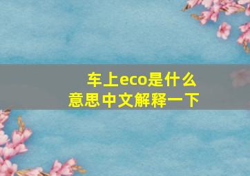 车上eco是什么意思中文解释一下