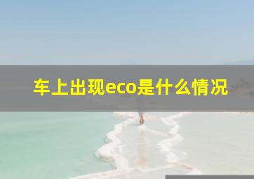 车上出现eco是什么情况