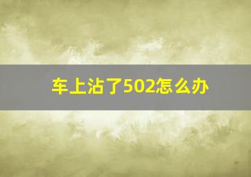 车上沾了502怎么办