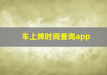 车上牌时间查询app