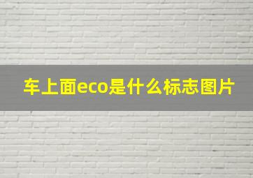 车上面eco是什么标志图片