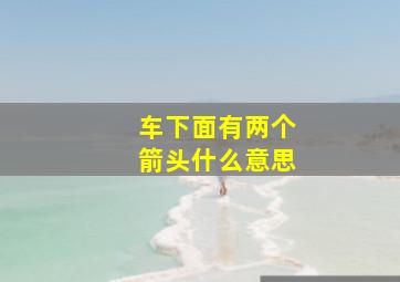 车下面有两个箭头什么意思