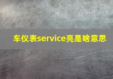 车仪表service亮是啥意思