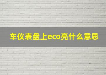 车仪表盘上eco亮什么意思