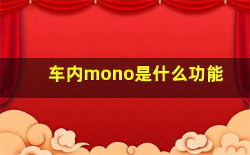 车内mono是什么功能