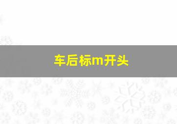 车后标m开头