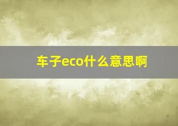 车子eco什么意思啊