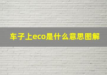 车子上eco是什么意思图解