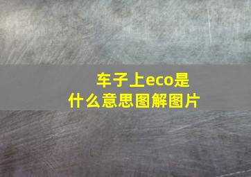 车子上eco是什么意思图解图片