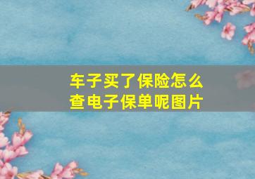 车子买了保险怎么查电子保单呢图片