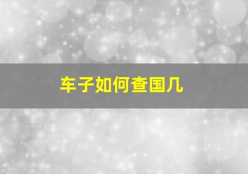 车子如何查国几