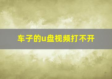 车子的u盘视频打不开