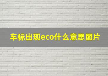 车标出现eco什么意思图片