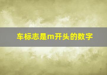 车标志是m开头的数字