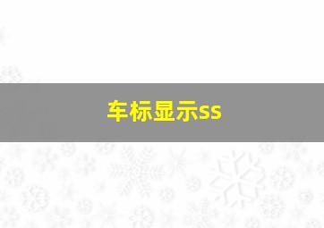 车标显示ss