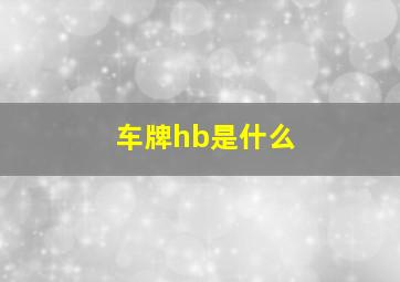 车牌hb是什么