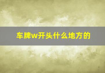 车牌w开头什么地方的