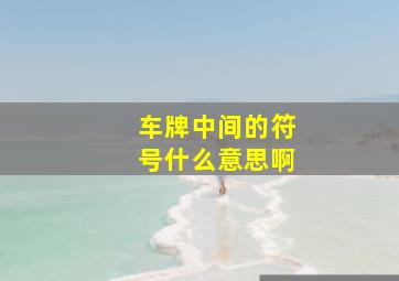 车牌中间的符号什么意思啊