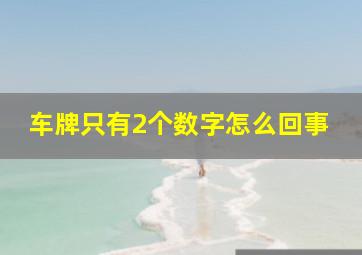 车牌只有2个数字怎么回事