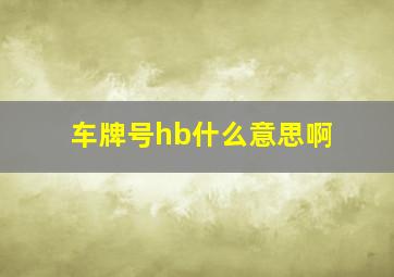 车牌号hb什么意思啊