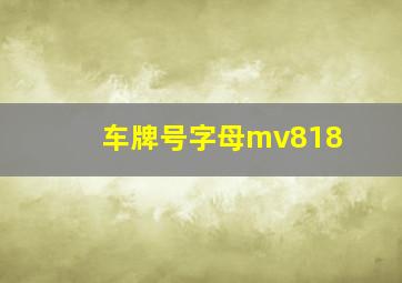 车牌号字母mv818