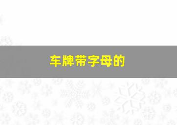 车牌带字母的