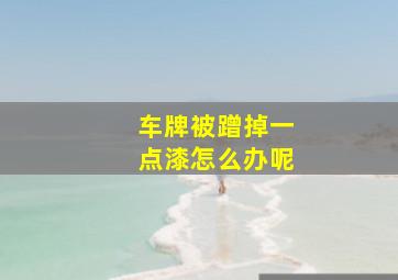 车牌被蹭掉一点漆怎么办呢