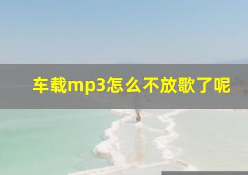 车载mp3怎么不放歌了呢