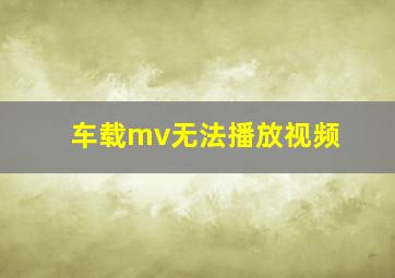 车载mv无法播放视频