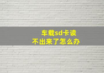 车载sd卡读不出来了怎么办