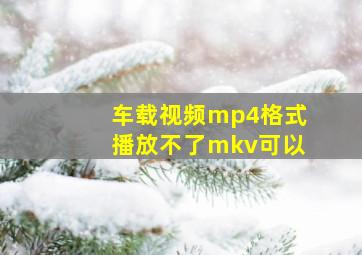 车载视频mp4格式播放不了mkv可以