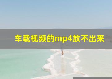 车载视频的mp4放不出来