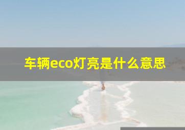 车辆eco灯亮是什么意思