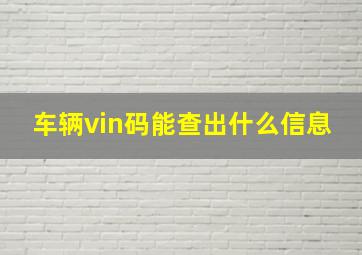 车辆vin码能查出什么信息