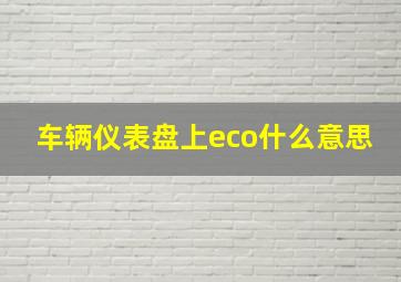 车辆仪表盘上eco什么意思